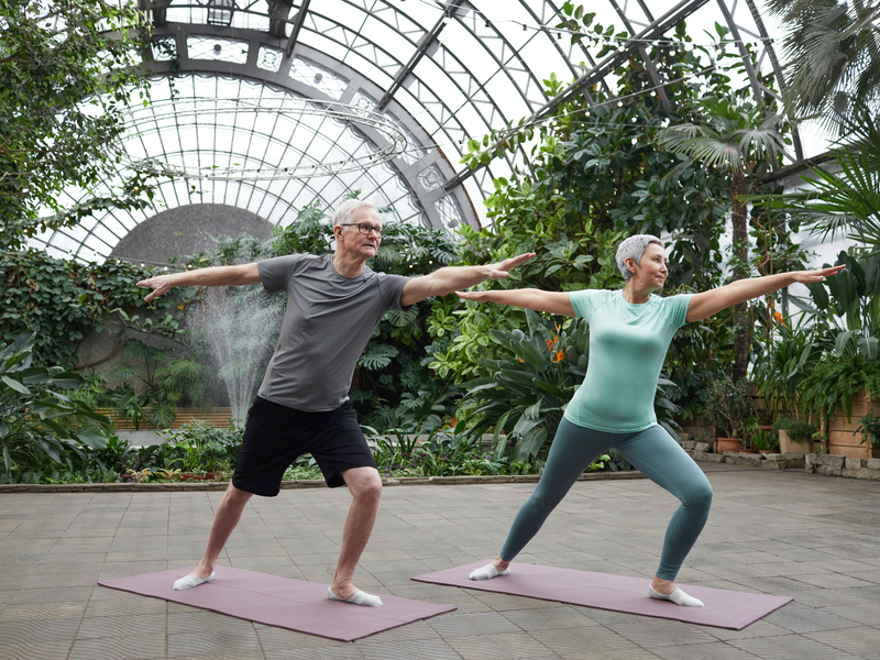 Ein Mann und eine Frau machen in einem großen Gewächshaus Yoga. Sie stehen auf altrosa-farbenen Yoga-Matten und haben die Yoga-Position Krieger inne.. Aussehen der Frau: kurze graue Haare, Leggings taupe, T-Shirt türkis. Aussehen des Mannes: kurze, graue Haare, Brille, kurze schwarze Hose, graues T-Shirt